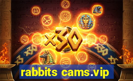 rabbits cams.vip